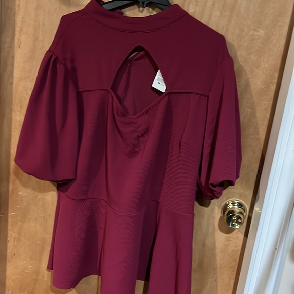 🤍”Sale”Nwt Gorgeous puff sleeves raspberry peplum peek a boo top size 22/24. - Picture 3 of 8